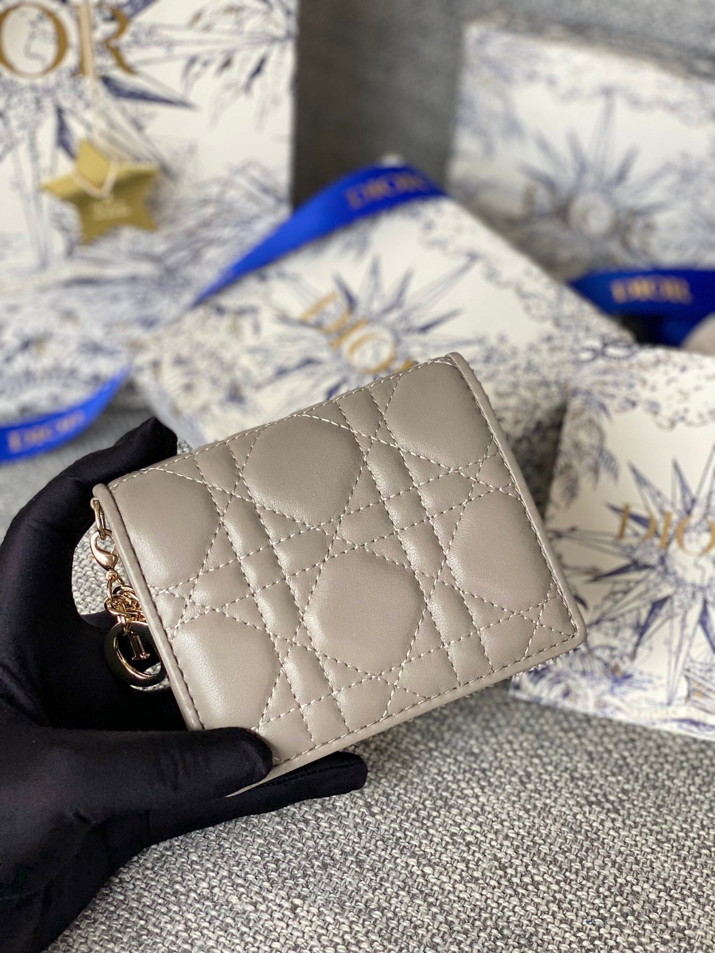 CD CARO 11CM COMPACT WALLET GREY CALFSKIN