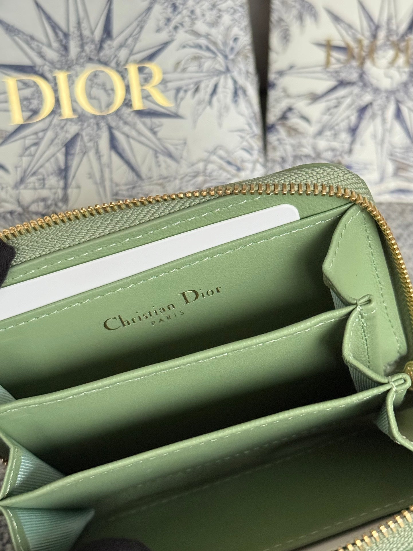 CD LOGO CARO 11CM COMPACT WALLET SHINY GREEN CALFSKIN